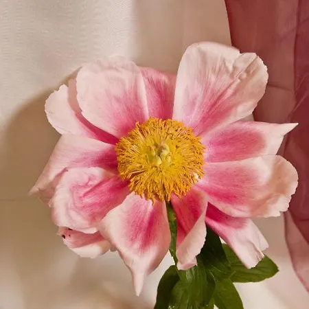 호텔 Hotel-restaurant Im Heisterholz 2*