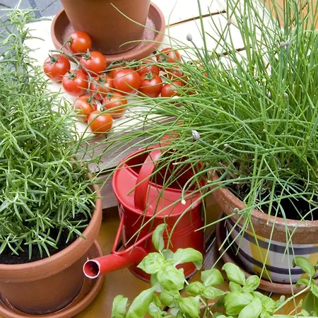 호텔 Hotel-restaurant Im Heisterholz