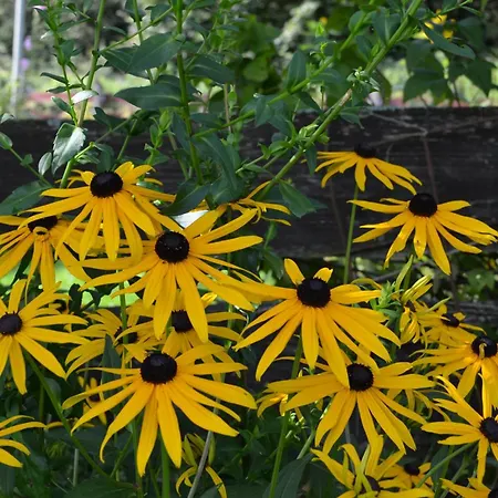 Hotel-restaurant Im Heisterholz 호텔 Hemmelzen