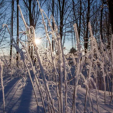 Hotel Hotel-restaurant Im Heisterholz