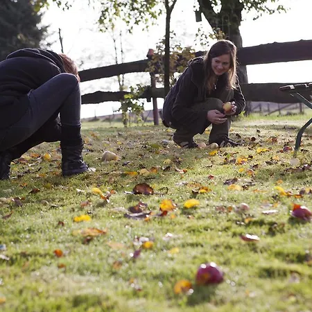 فندق Hotel-restaurant Im Heisterholz 2*