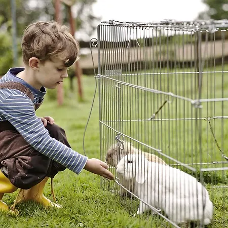 Hotel-restaurant Im Heisterholz 호텔