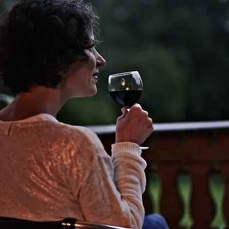 호텔 Hotel-restaurant Im Heisterholz