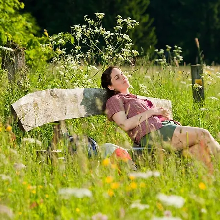 Hotel-restaurant Im Heisterholz 호텔