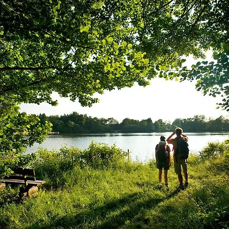 호텔 Hotel-restaurant Im Heisterholz 2*