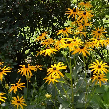 Hotel-restaurant Im Heisterholz