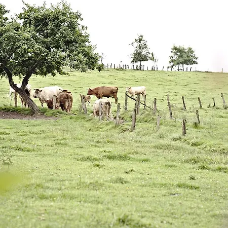 Hotel-restaurant Im Heisterholz فندق