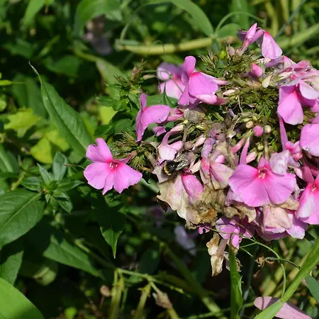 Hotel-restaurant Im Heisterholz 호텔 2*