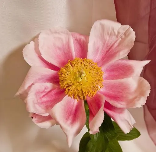 Hotel Hotel-restaurant Im Heisterholz 2*