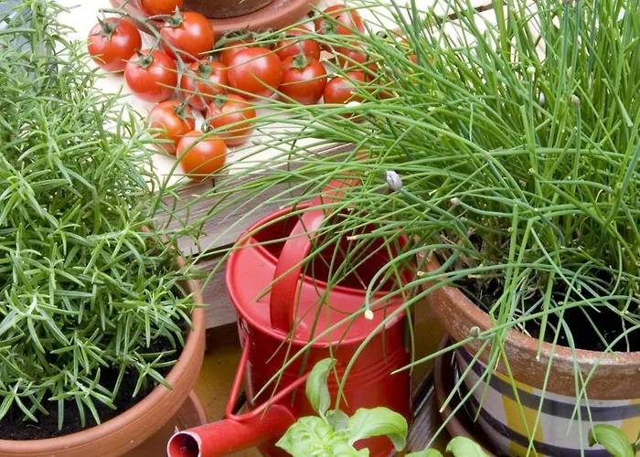 Hotel Hotel-restaurant Im Heisterholz