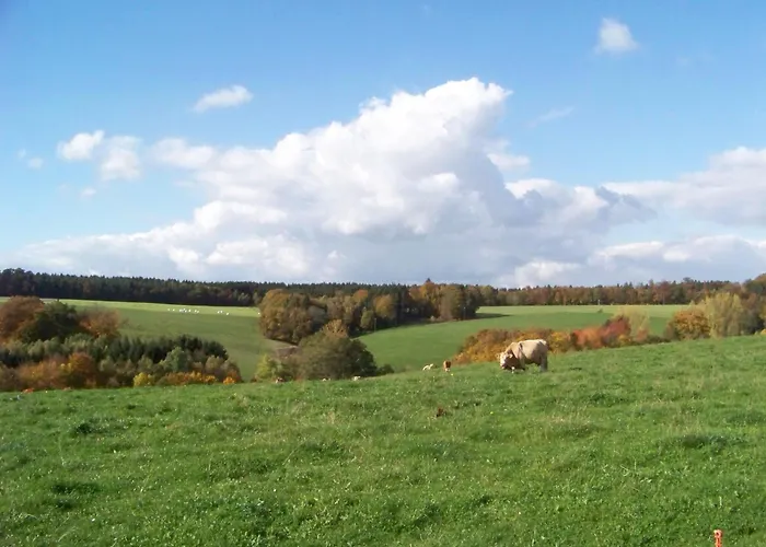 Hotel Hotel-restaurant Im Heisterholz 2*