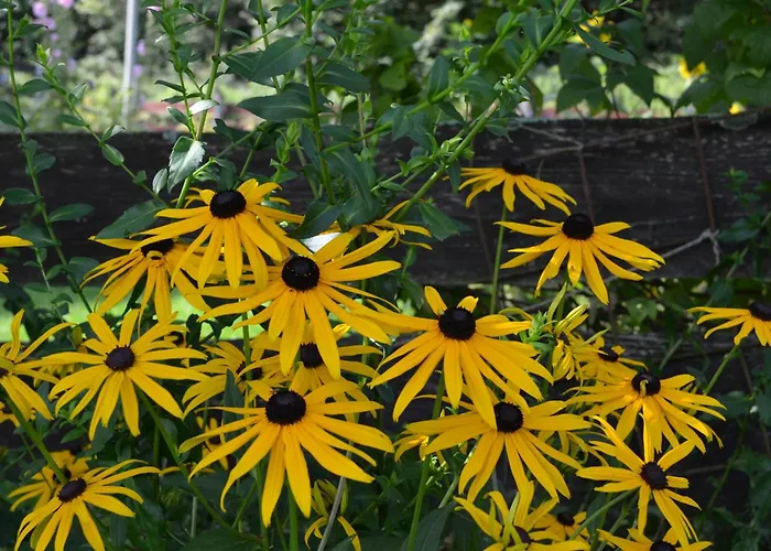Hotel-restaurant Im Heisterholz Hotel Hemmelzen