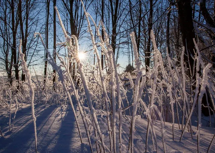 Hotel Hotel-restaurant Im Heisterholz