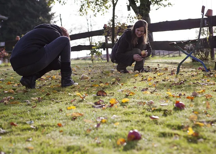 Hotel Hotel-restaurant Im Heisterholz 2*