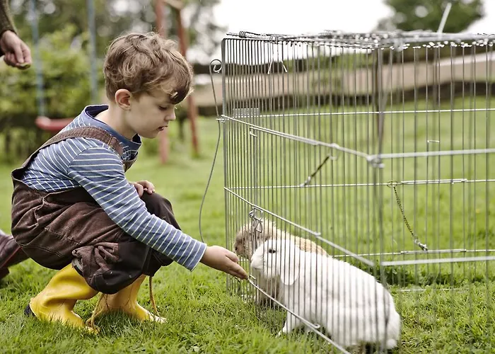 Hotel-restaurant Im Heisterholz Hotel