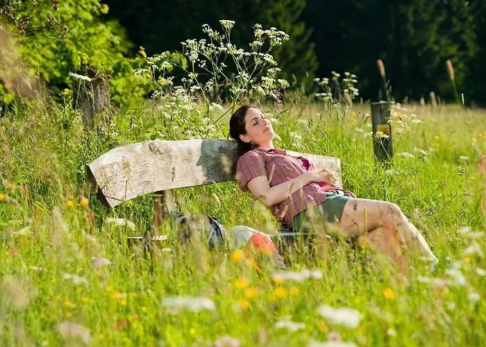 Hotel-restaurant Im Heisterholz Hotel