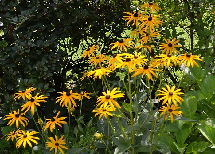 Hotel-restaurant Im Heisterholz