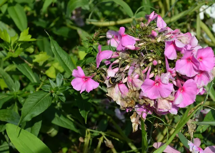 Hotel-restaurant Im Heisterholz Hotel 2*